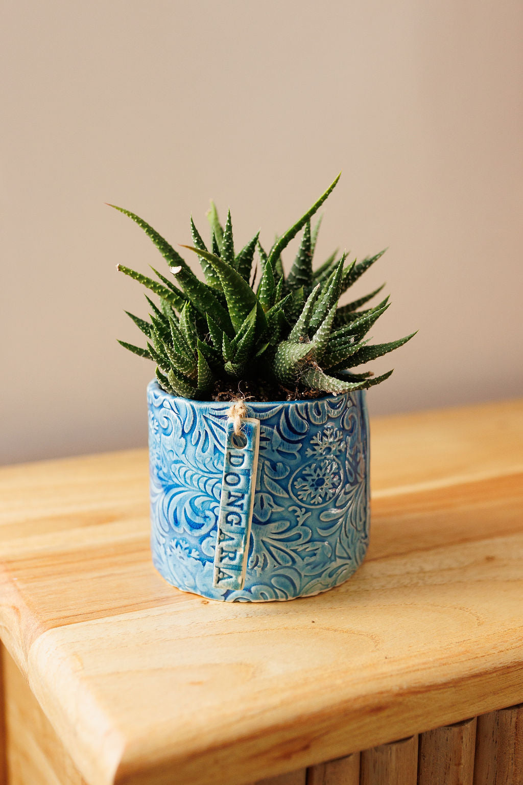 JC Pottery - Assorted Plant and Pot 90mm