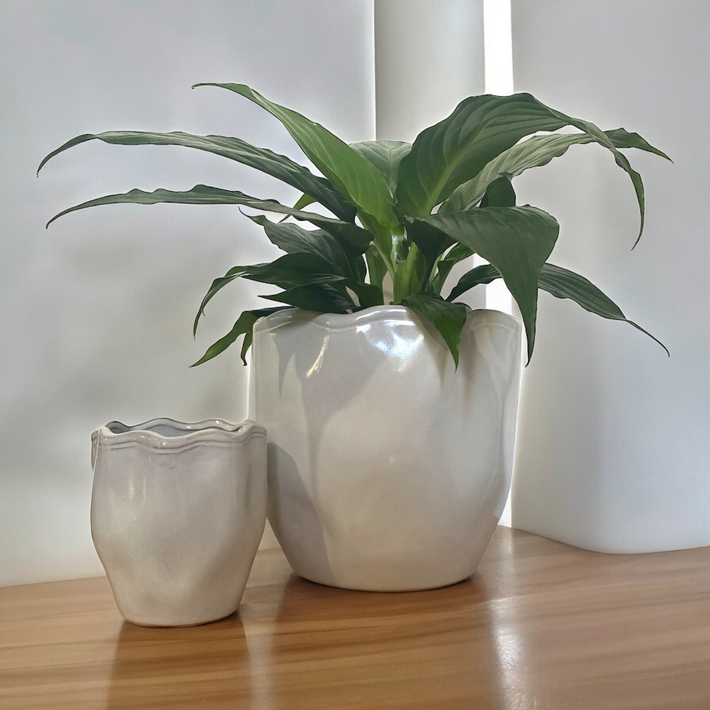 Aurora Pot - Small