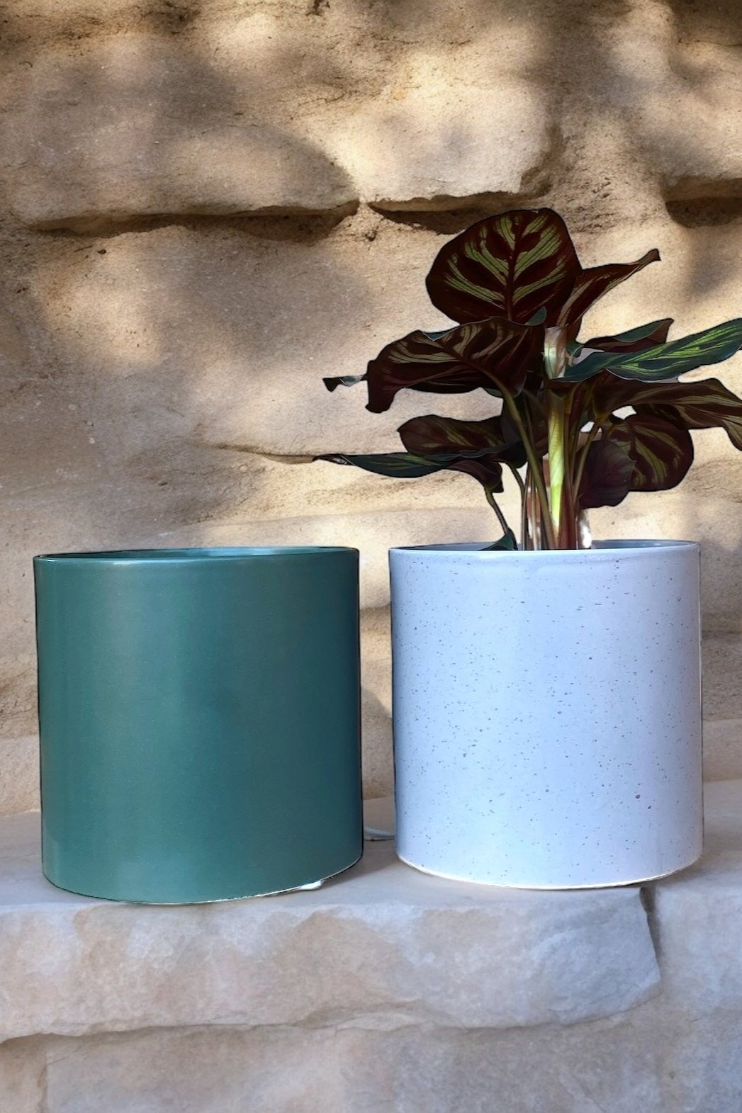 DC Thin Rim Pot Grey Terrazzo