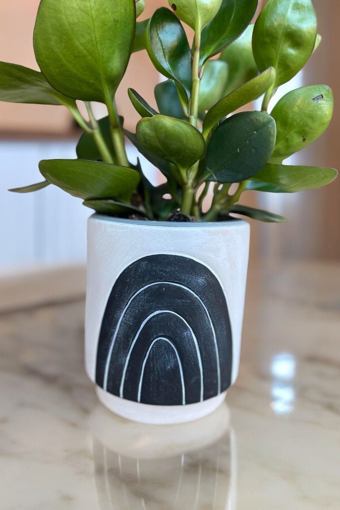 Farrago Ceramic Pot