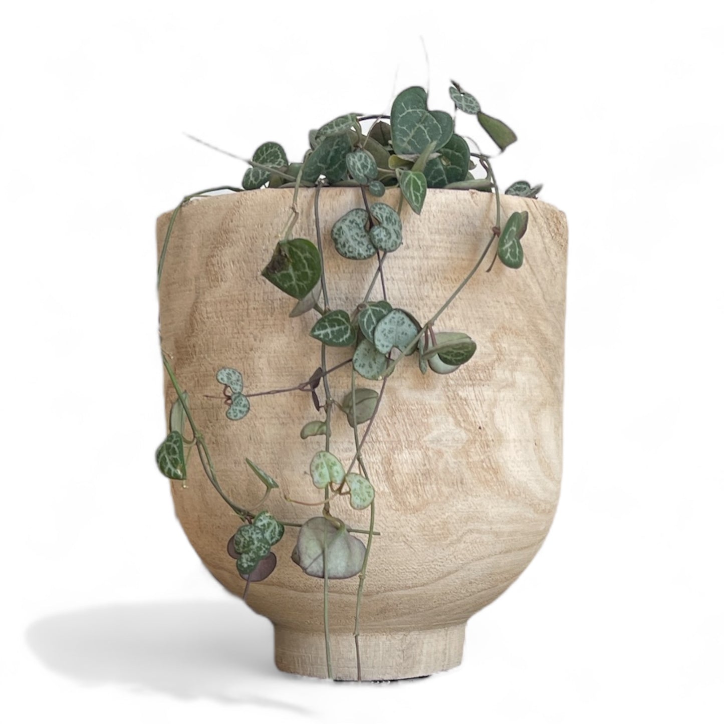 Wade Wooden Footed Pot - Small
