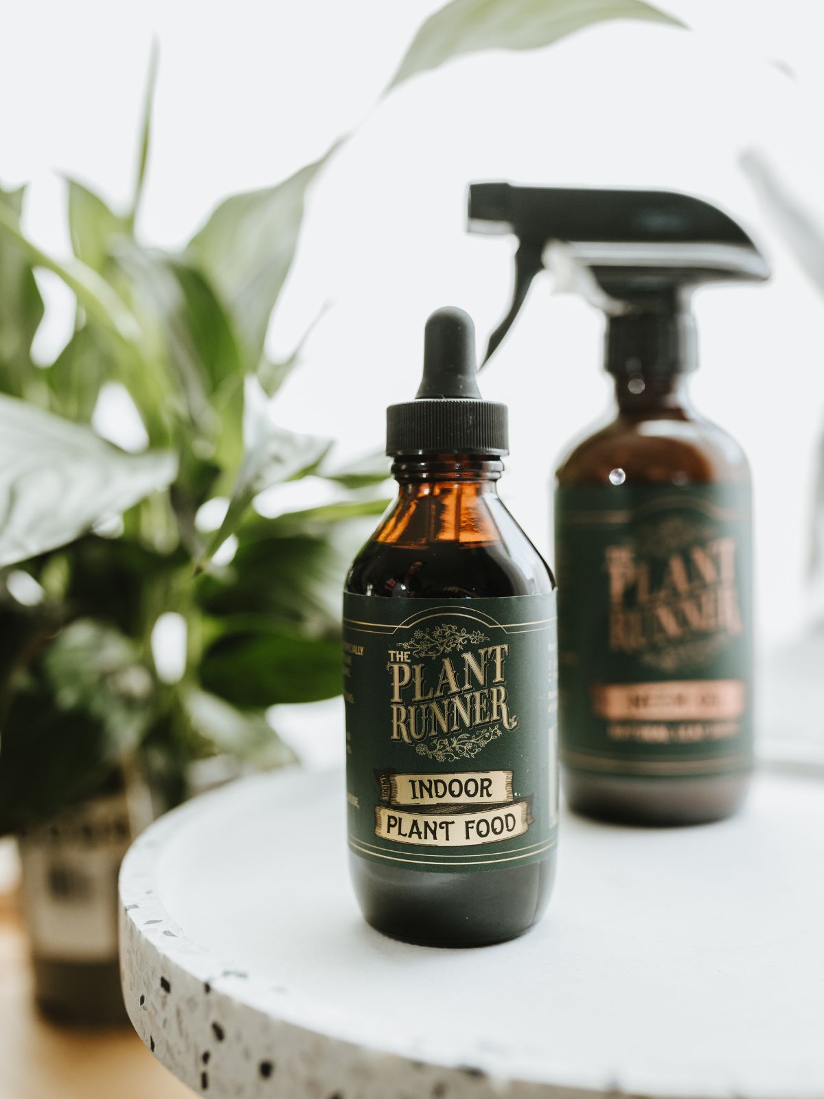 Plant Care