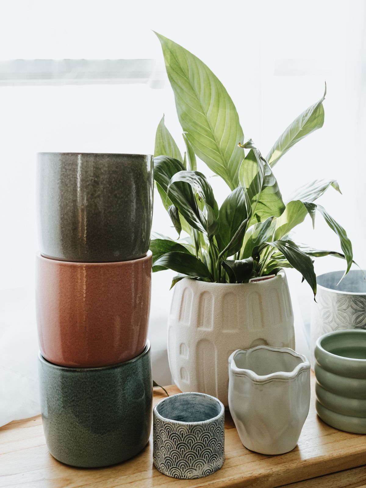 Home Décor
