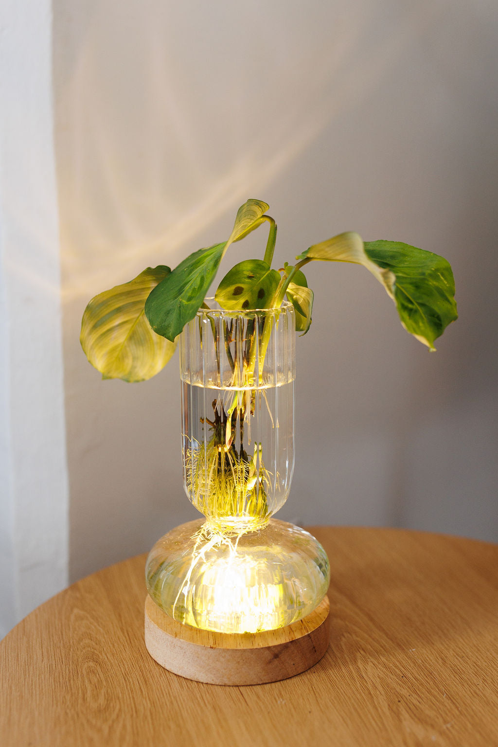 Plant Lamp - Vintage Ribbed