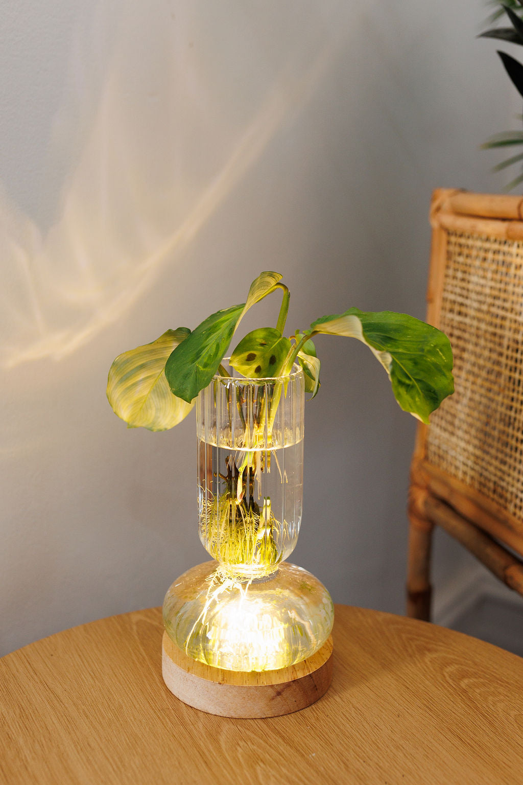 Plant Lamp - Vintage Ribbed