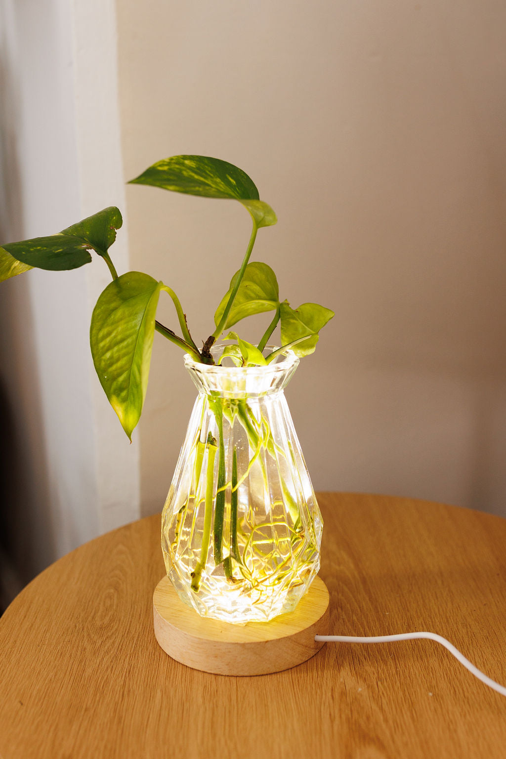 Plant Lamp - Diamond Vintage