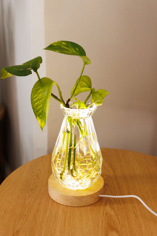 Plant Lamp - Diamond Vintage