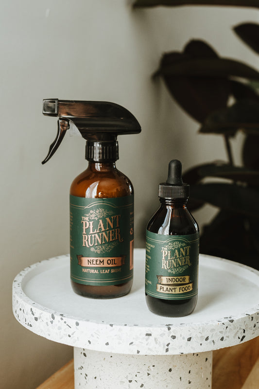 The Plant Runner - Neem Oil Leaf Shine