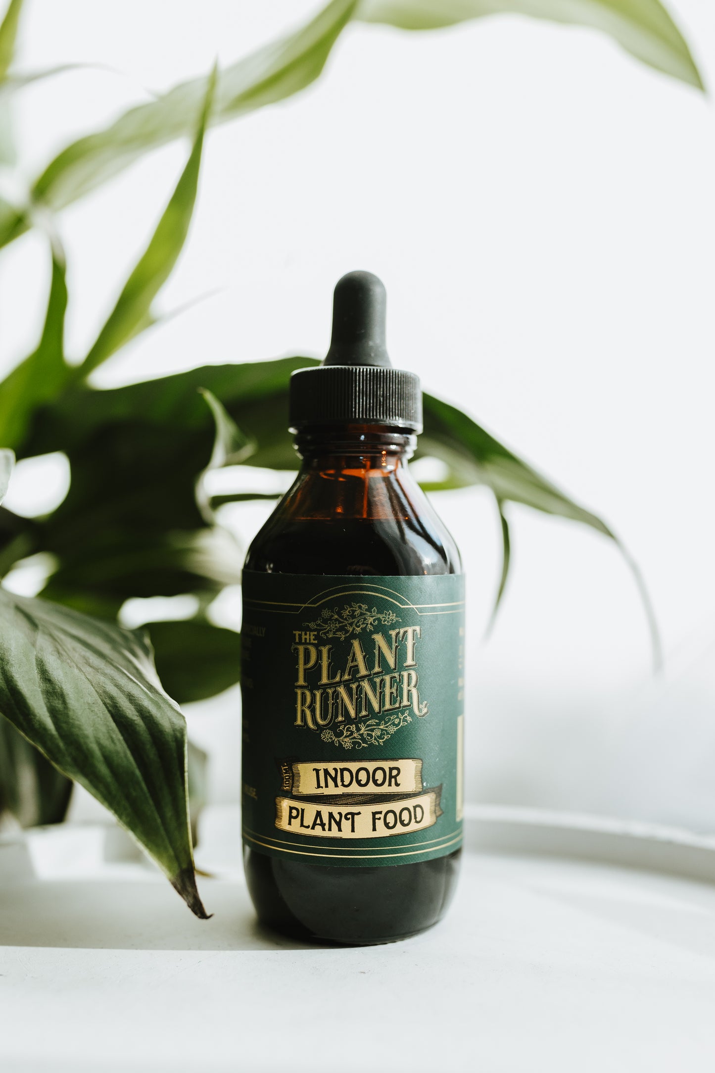 The Plant Runner - Indoor Plant Food