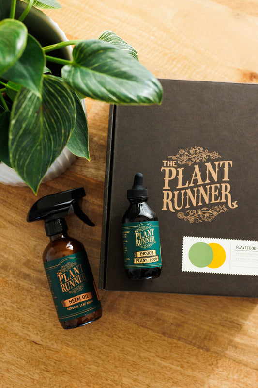 The Plant Runner - Plant Care Essentials Pack