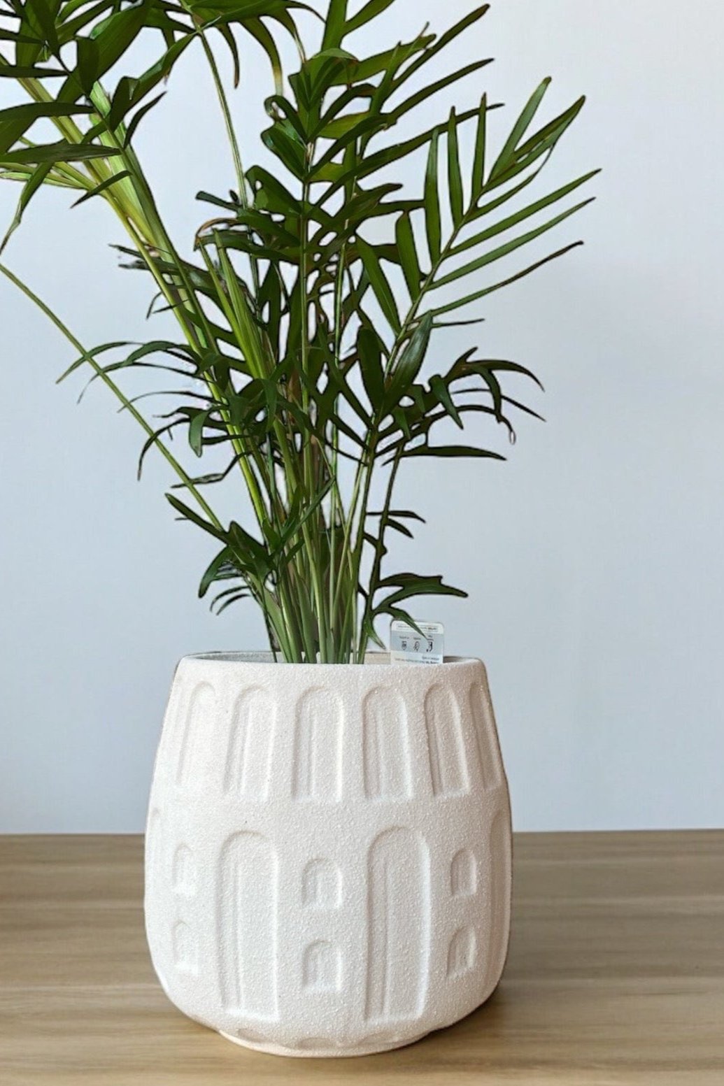 Archer Ceramic Pot