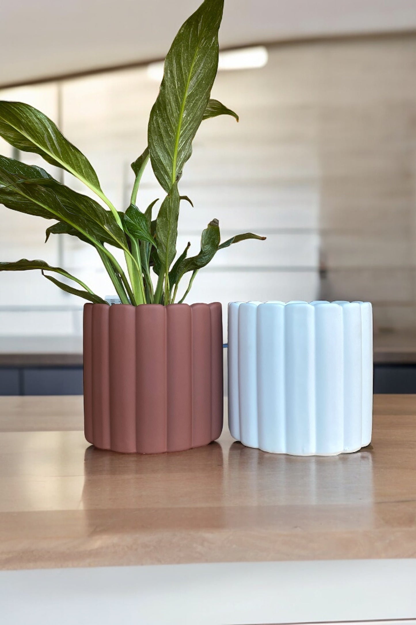Aurelia Soft Touch Pot - White