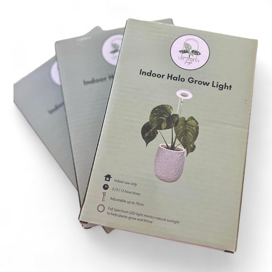 Indoor Grow Light