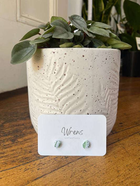 Wrens Collection Earrings - Studs