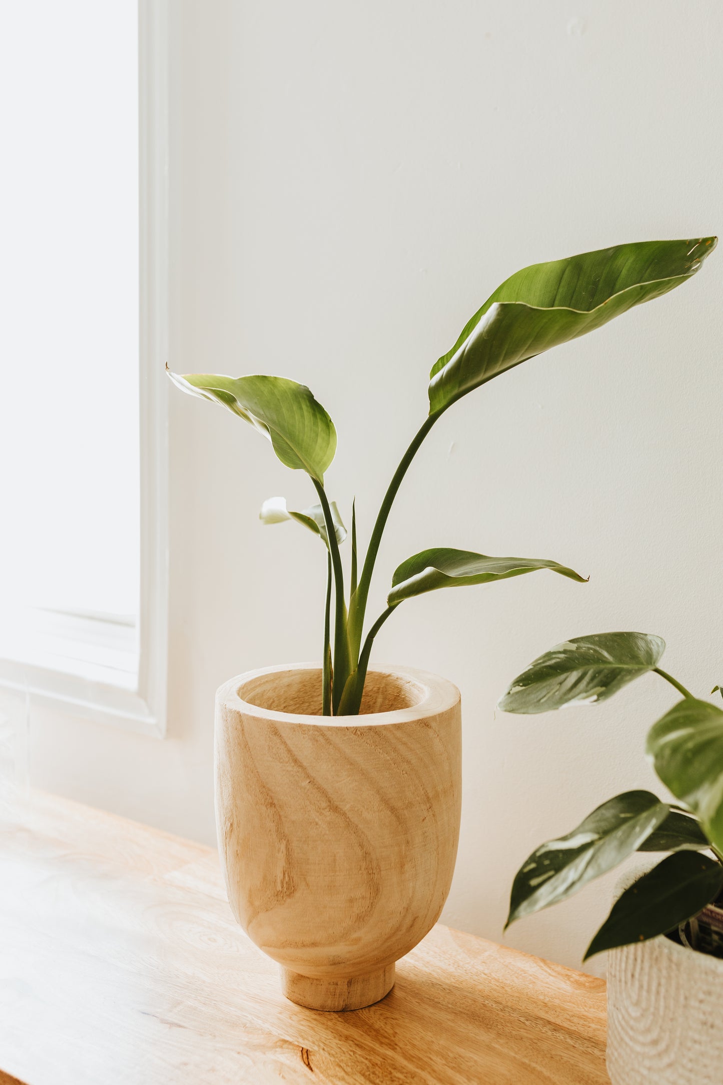 Wade Wooden Footed Pot - Small
